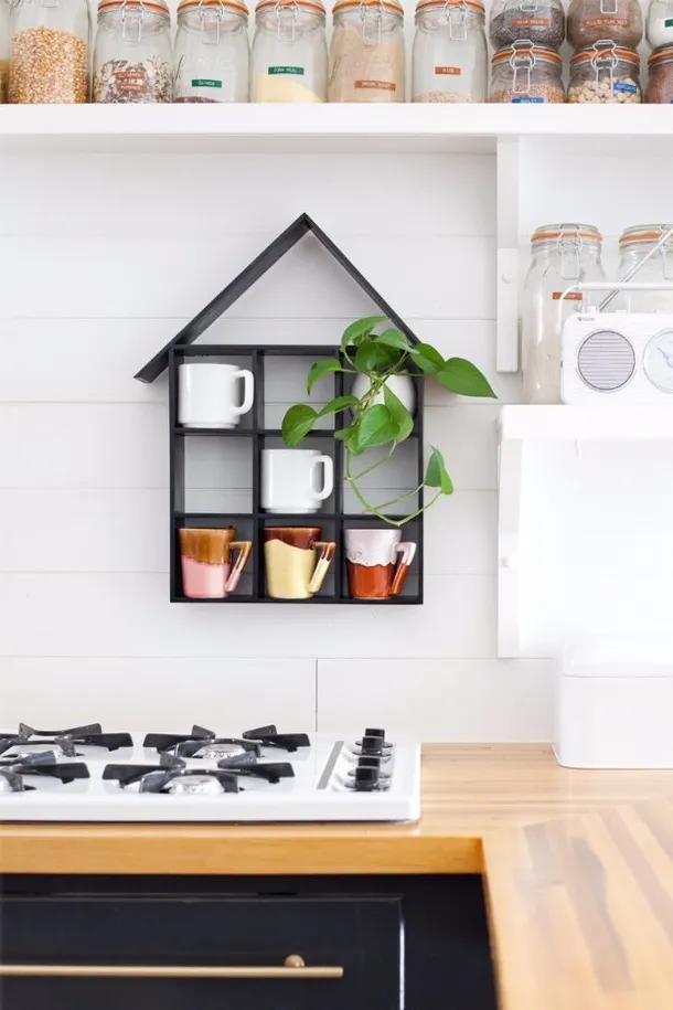 11326 kitchen plants