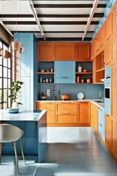 11350 small orange blue kitchen