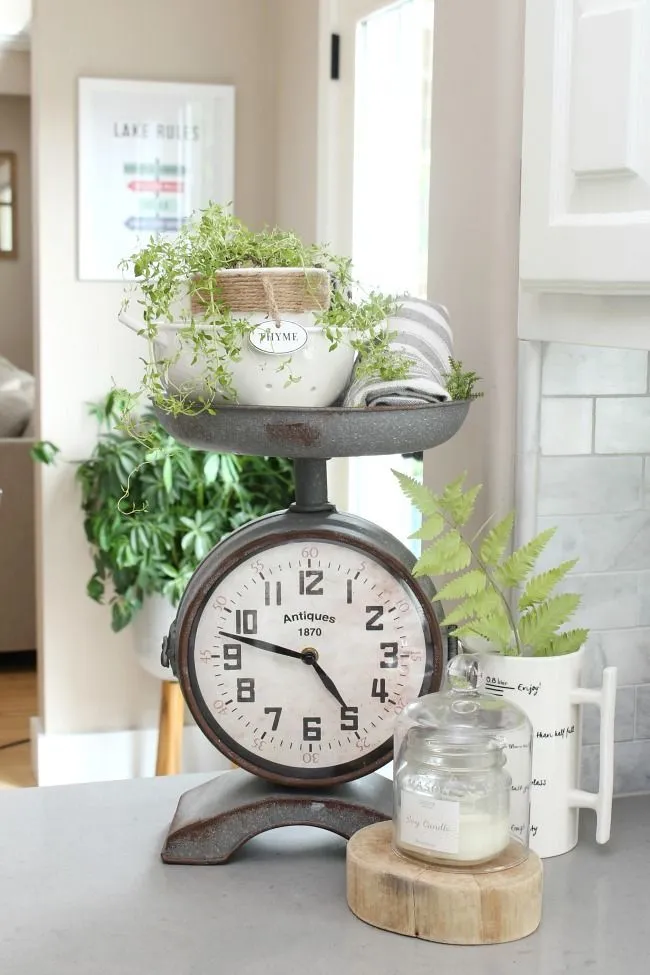 11364 elmwood kitchen natural light