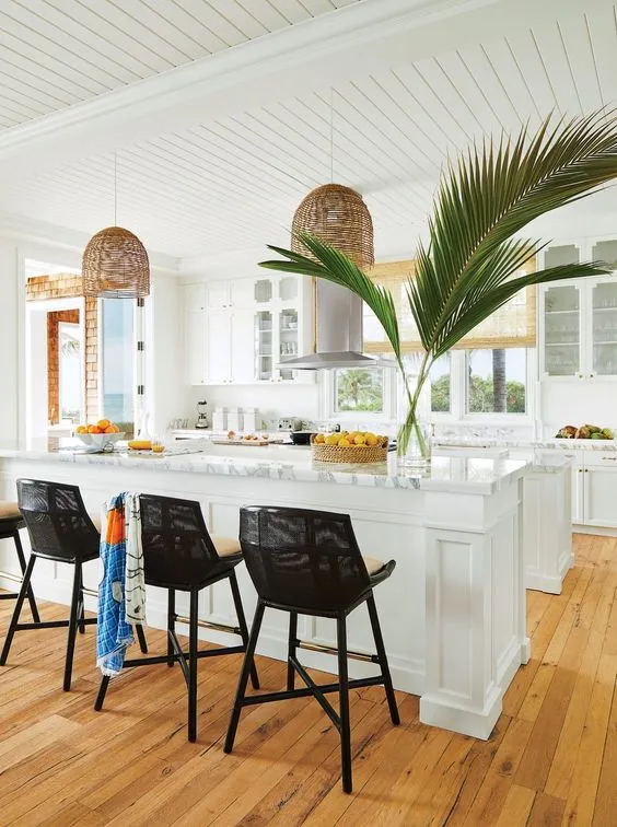 11403 tropical kitchen plants