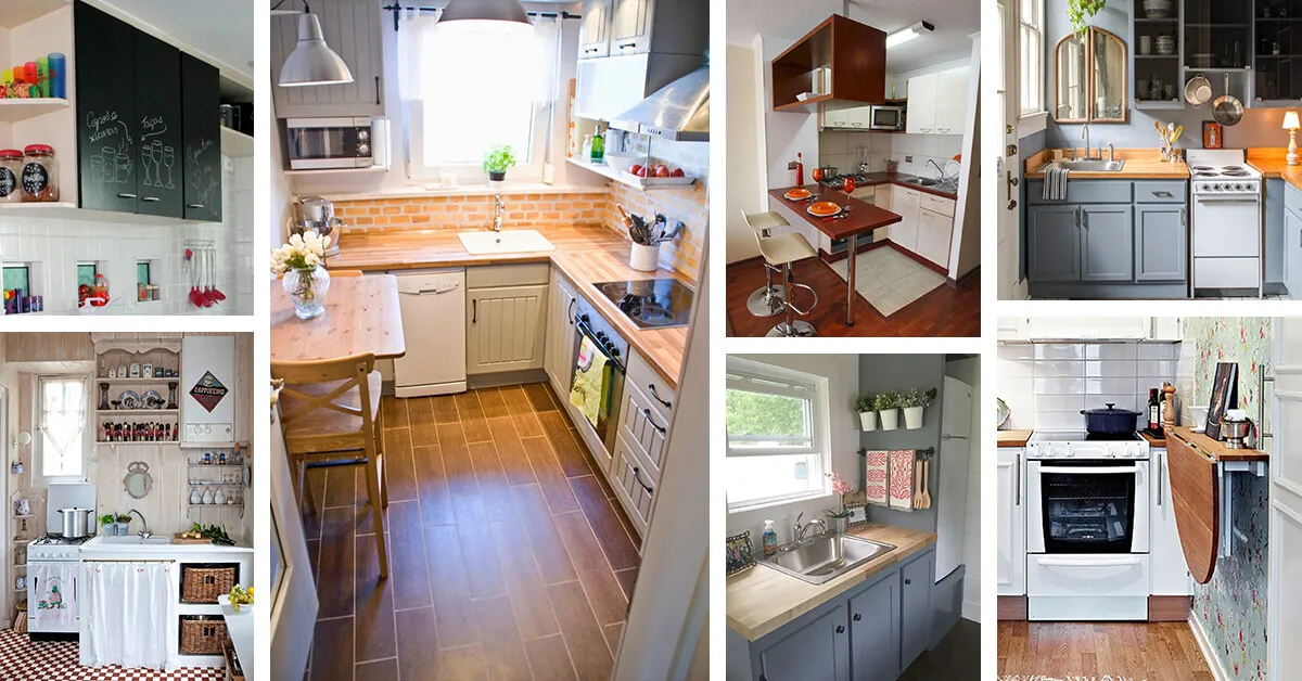 11435 kitchen plants