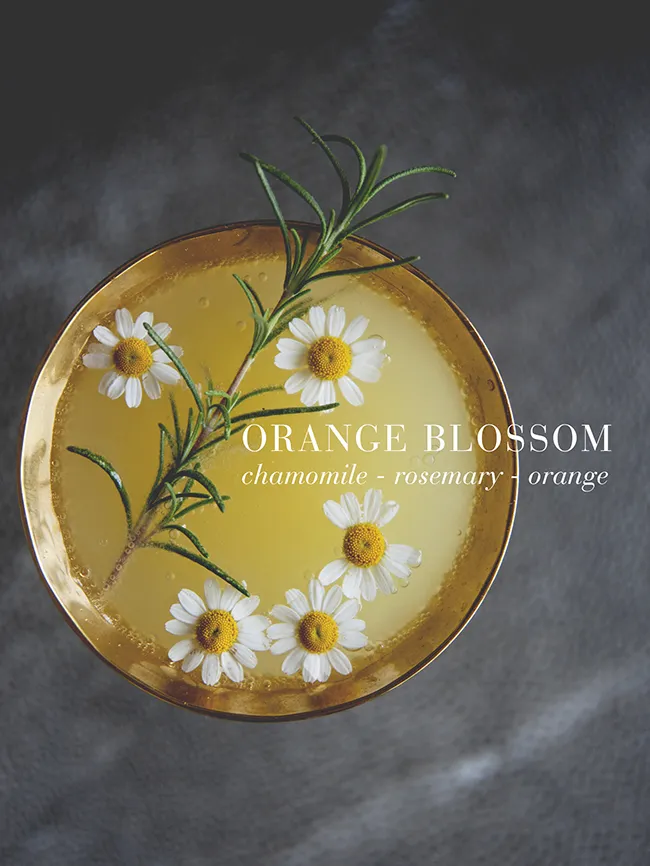 11547 orange blossom kitchen 1