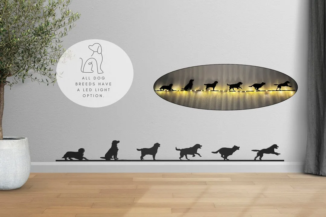 /img/11548-labrador-kitchen-decorations.webp