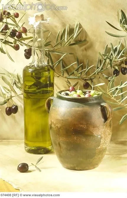 11575 modern olive kitchen