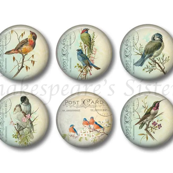 11607 bird figurines kitchen decor 3