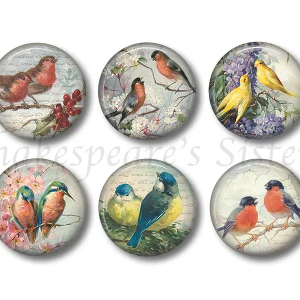 11607 bird figurines kitchen decor 6